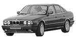 BMW E34 P0399 Fault Code